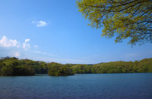一碧湖