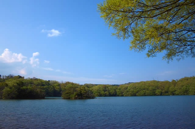 一碧湖イメージ
